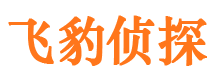 滨海寻人公司